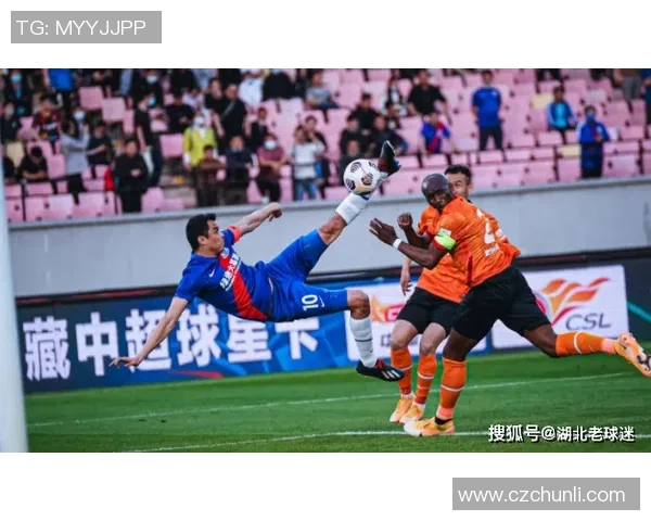 武汉排球队技术争议引发热议球迷与专家观点交锋激烈